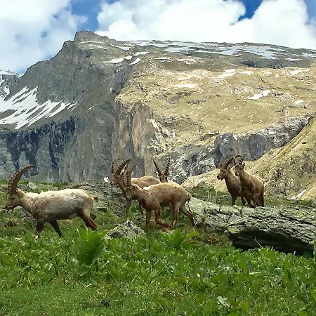 Jour De Peuf Apartmán *