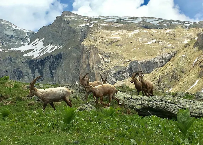 Jour De Peuf Apartmán *